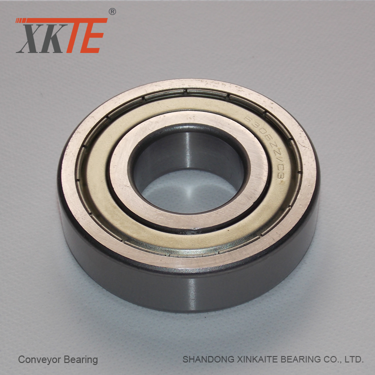 Professional Bearing For Conveyor Manufacturing Companies