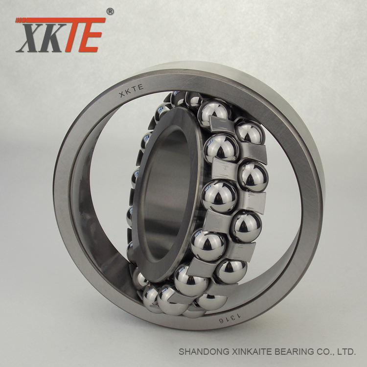 Ball Bearing 1316