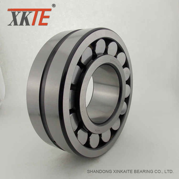 Professional Roller Bearing For Material Conveyor Systems