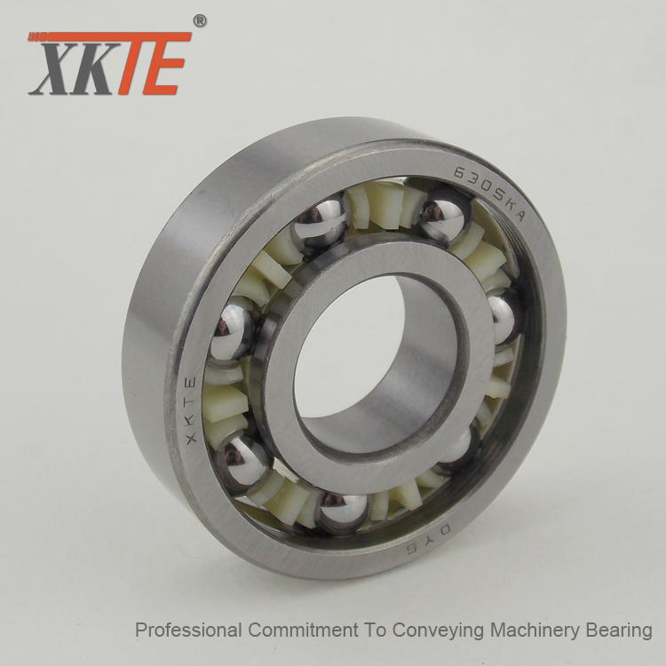 TW Polyamide 6.6 Cage Ball Bearing For Idler Roller