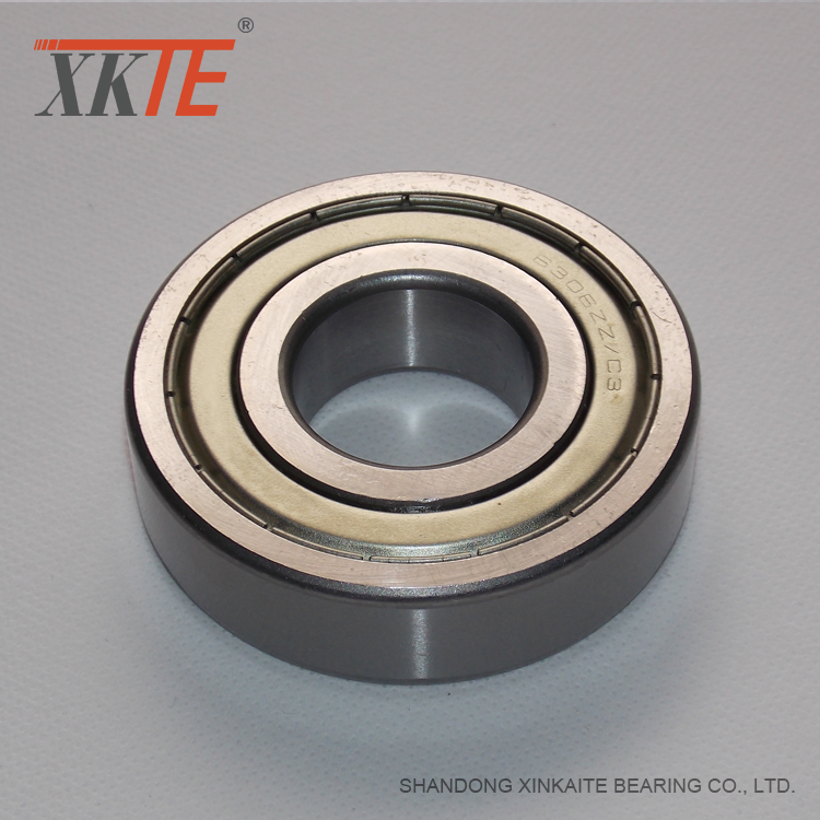 Iron Shielded Radial Ball Bearing 80204 C3 C4