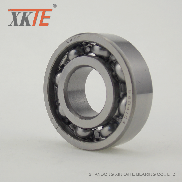 Ball Bearing For Inclined Blet Conveyor Roller Parts