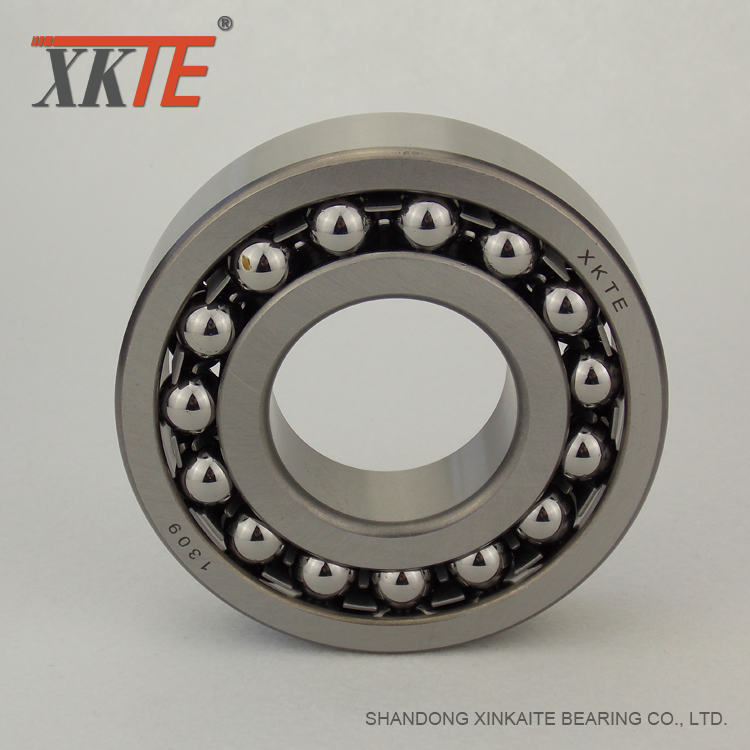 Self aligning Ball Bearing 1309 For Drum Pulley